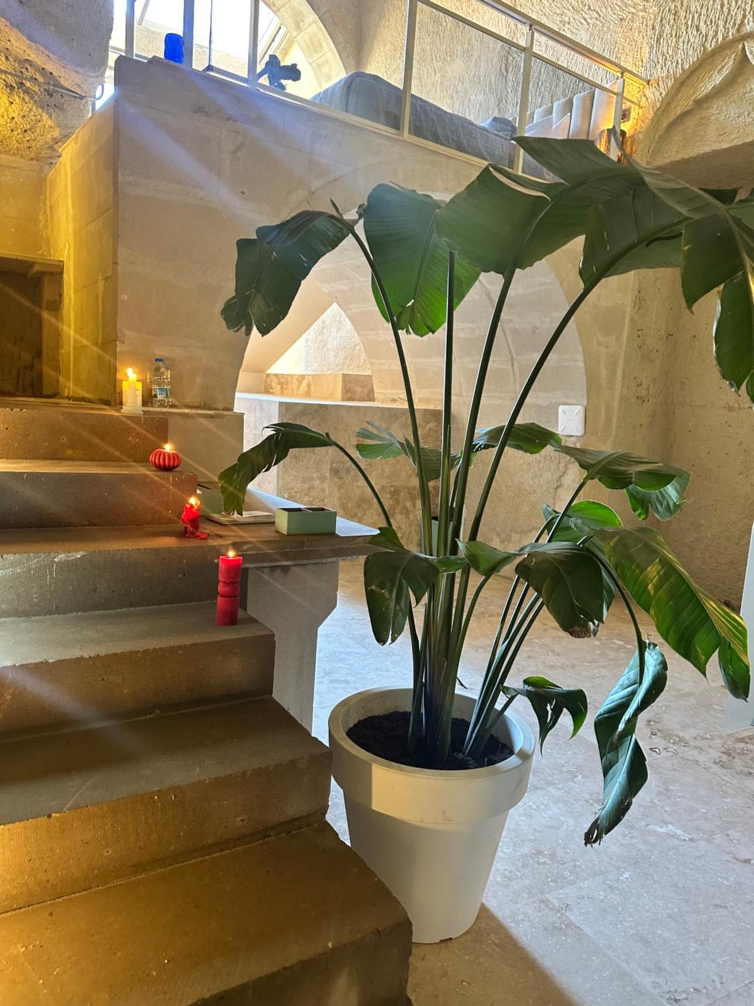Be Still Alexa Smart Luxury Escape Adults Only Nevşehir Dış mekan fotoğraf